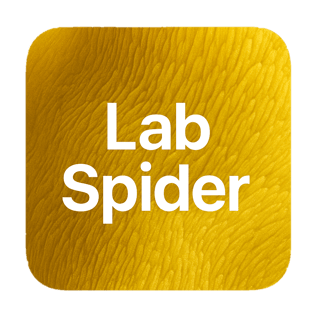 xavo-lab-spider-icon-web-transparency