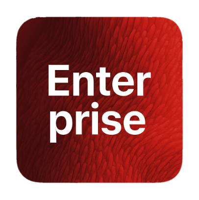 xavo-enterprise-icon-web-transparency
