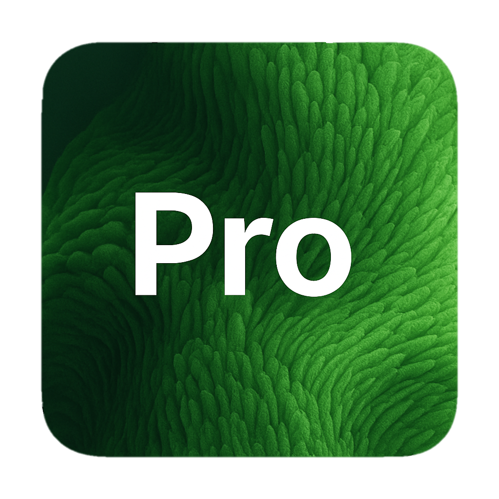 xavo-professional-icon-web-transparency xavo-professional-icon-web-transparency